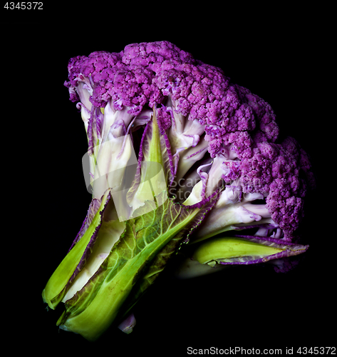 Image of Fresh Purple Cauliflower