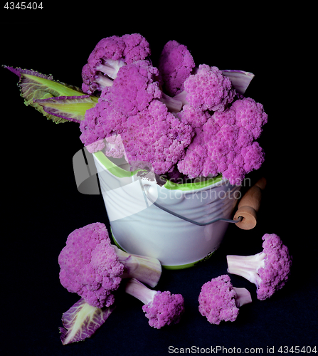 Image of Fresh Purple Cauliflower