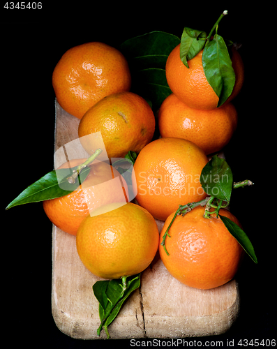 Image of Ripe Tangerines with Leafs