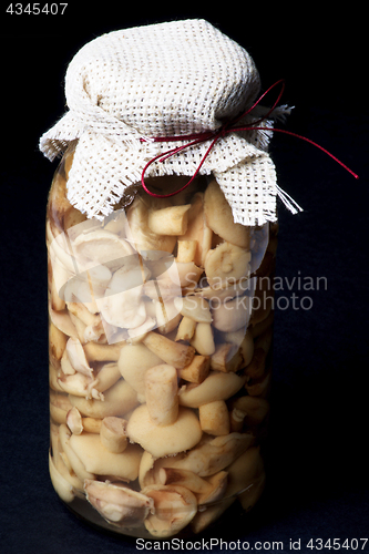 Image of Marinated Peppery Milkcap