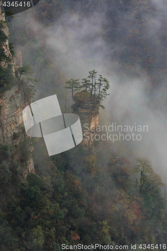Image of Beautiful Son of Heaven Mountain Tianzishan in China Hunan Provi