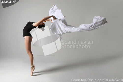 Image of Talented Ballet Dancer in Studio on White Background