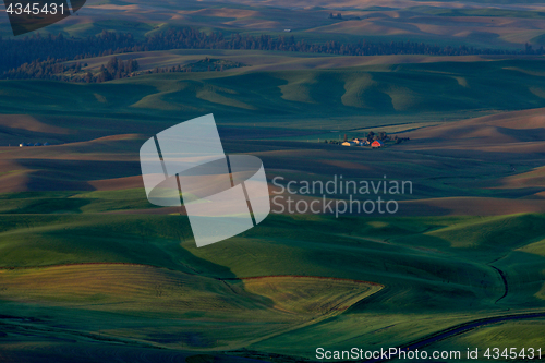 Image of Palouse Washington from Steptoe Butte 