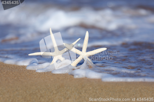 Image of Starfish in the Sand With Seafoam Waves