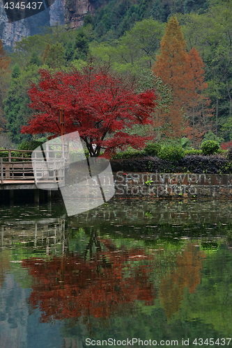 Image of Landscape Inside Zhangjiajie National Park China 