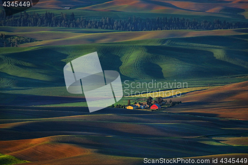 Image of Palouse Washington from Steptoe Butte 