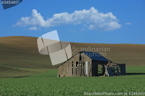Image of Condemned Barn in Rural in Palouse Washington 