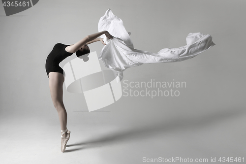 Image of Talented Ballet Dancer in Studio on White Background