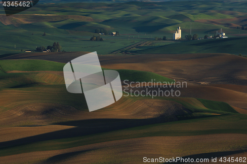 Image of Palouse Washington from Steptoe Butte 