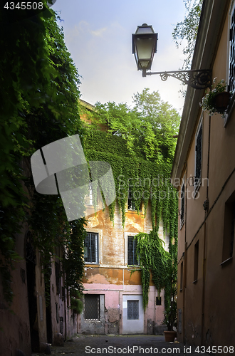 Image of View of street inTrastevere