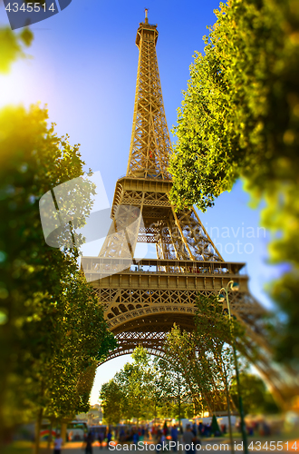 Image of Eiffel Tower in the park