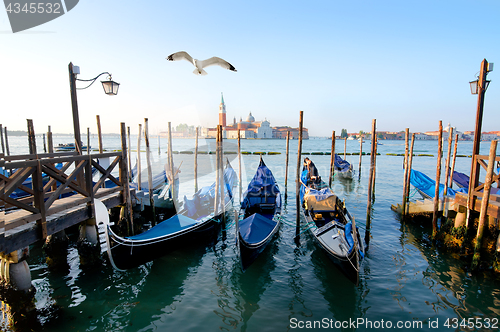 Image of Gondolas and a seagull