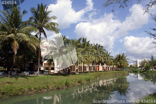 Image of Palm trees