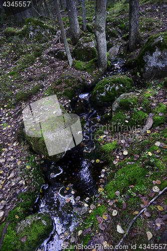 Image of creek in the forest among the stones and moss