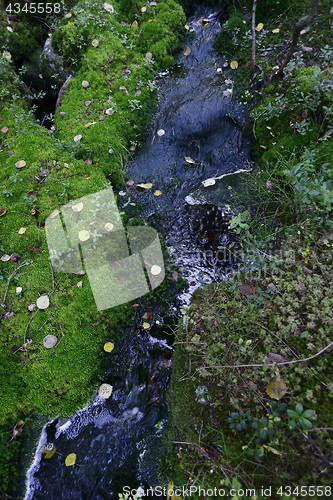 Image of creek in the forest among the stones and moss