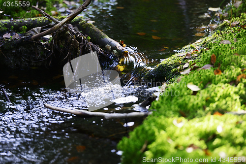 Image of creek in the forest among the stones and moss