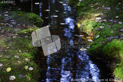 Image of creek in the forest among the stones and moss