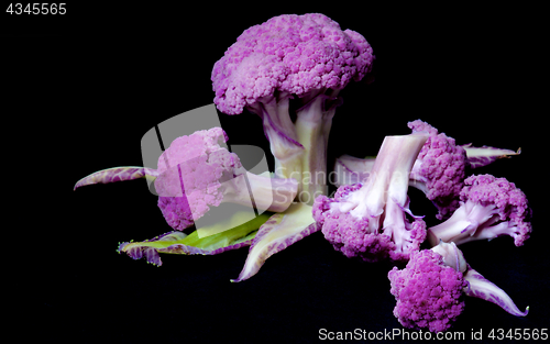 Image of Fresh Purple Cauliflower