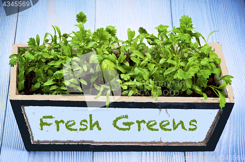 Image of Fresh Greens in Box