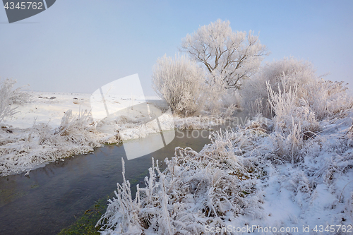 Image of Frosty winter trees on countryside