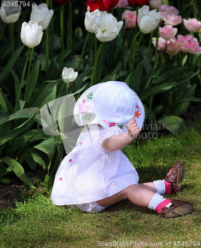 Image of Baby in tulips field.