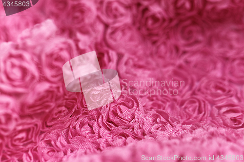 Image of Pink rose background