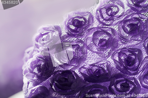 Image of Purple rose background