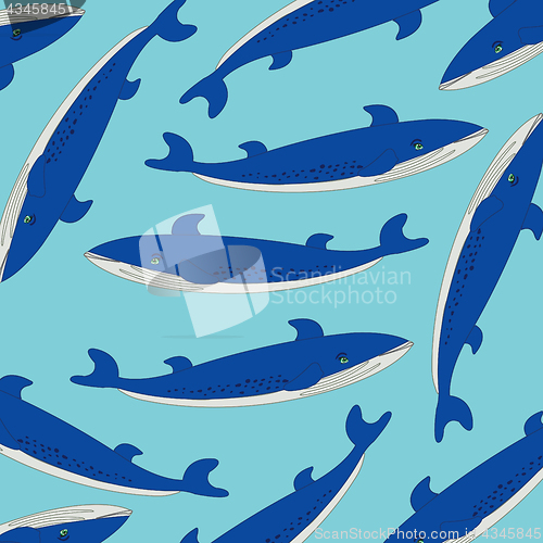Image of Fish whale pattern