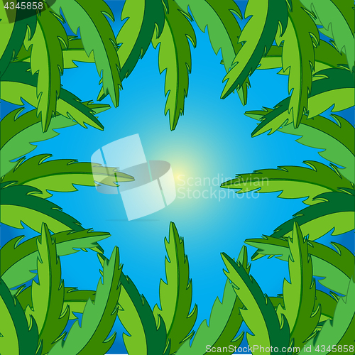 Image of Branches of the palm on background sky