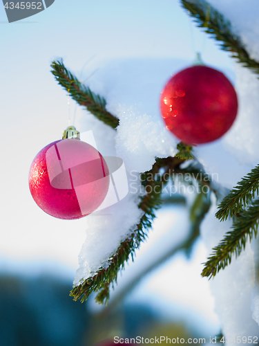 Image of christmas tree ball decoration