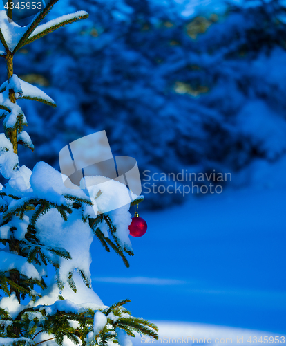 Image of christmas tree ball decoration