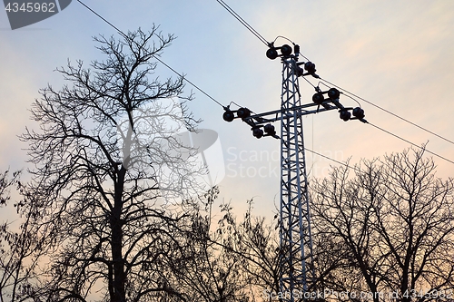 Image of Electric line with leafless trees