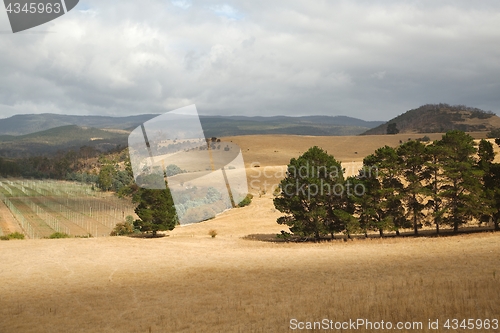 Image of Valley in Tasmania