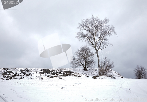 Image of Winter Park Landscape