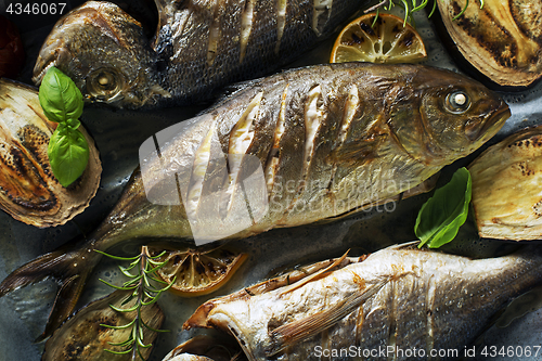 Image of Fish food