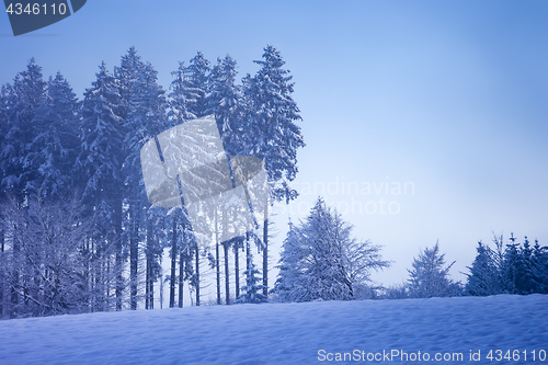 Image of beautiful winter scenery with a tree