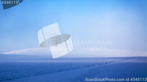 Image of beautiful winter scenery with a tree