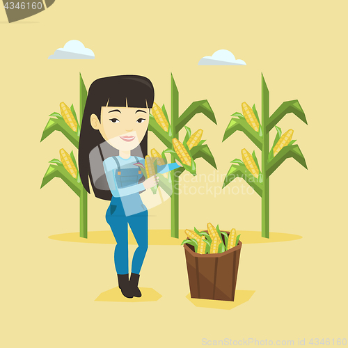 Image of Farmer collecting corn vector illustration.