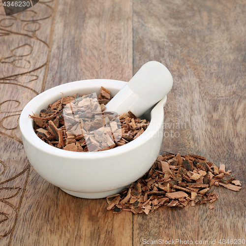 Image of Black Haw Herb