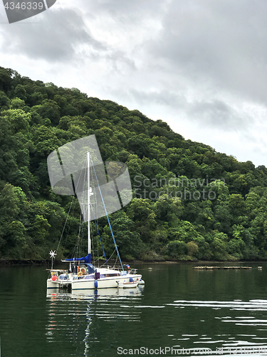 Image of Catamaran Moored on a River