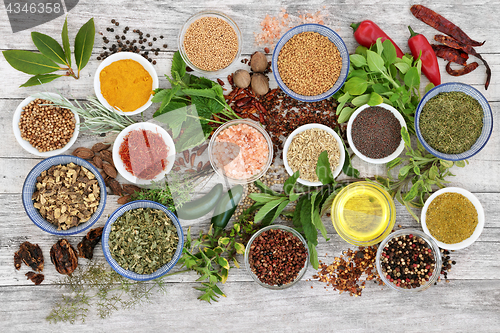 Image of Spice and Herb Selection