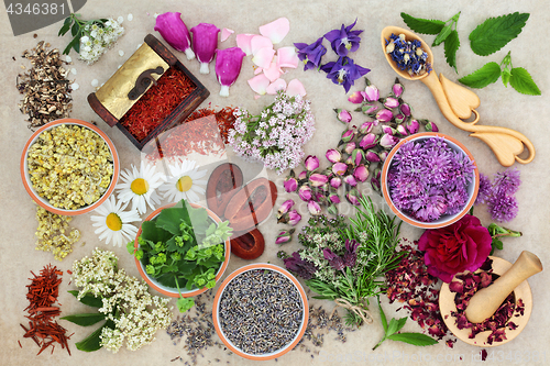 Image of Herbs for Alternative Herbal Medicine