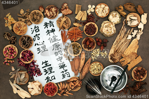 Image of Chinese Acupuncture and Herbal Therapy