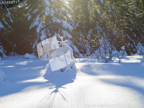 Image of winter landscape