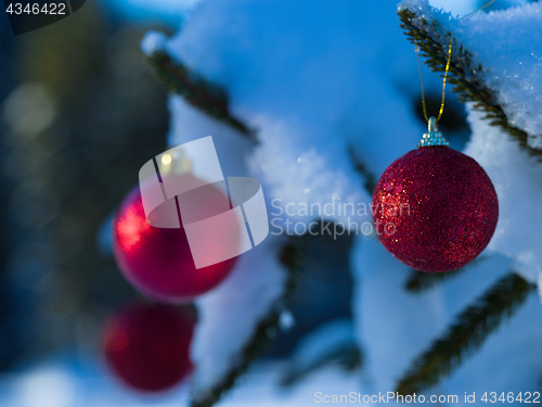 Image of christmas tree ball decoration