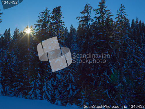 Image of winter landscape