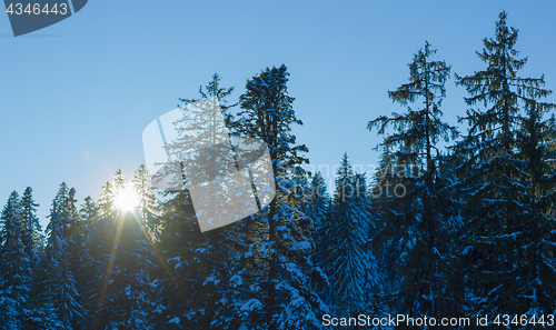 Image of winter landscape