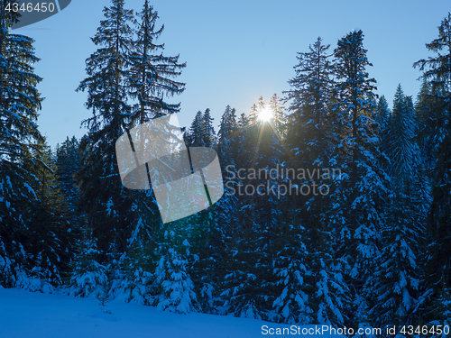 Image of winter landscape