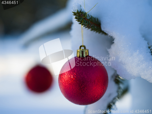 Image of christmas tree ball decoration