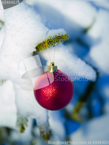 Image of christmas tree ball decoration